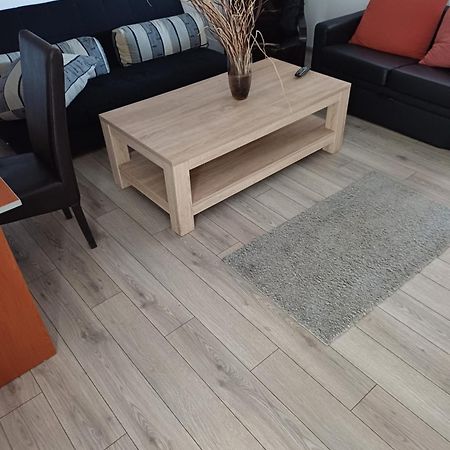 Apartament Cu Terasa La Casa Tina Timisoara Ngoại thất bức ảnh