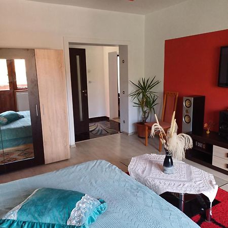 Apartament Cu Terasa La Casa Tina Timisoara Ngoại thất bức ảnh