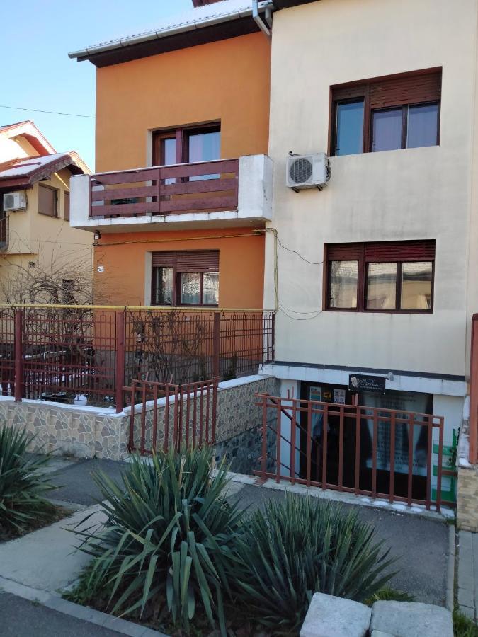 Apartament Cu Terasa La Casa Tina Timisoara Ngoại thất bức ảnh
