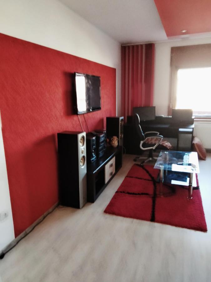 Apartament Cu Terasa La Casa Tina Timisoara Ngoại thất bức ảnh