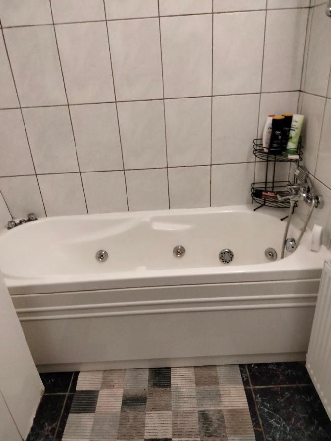 Apartament Cu Terasa La Casa Tina Timisoara Ngoại thất bức ảnh
