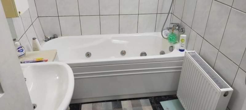 Apartament Cu Terasa La Casa Tina Timisoara Ngoại thất bức ảnh