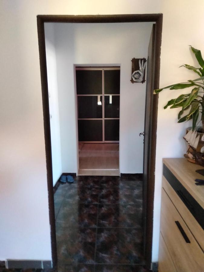 Apartament Cu Terasa La Casa Tina Timisoara Ngoại thất bức ảnh