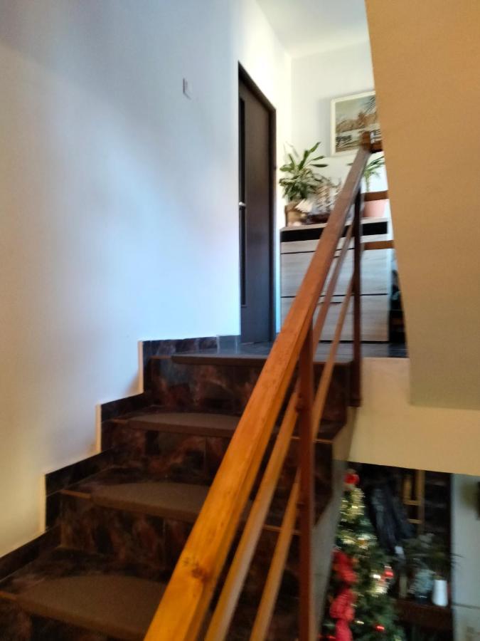 Apartament Cu Terasa La Casa Tina Timisoara Ngoại thất bức ảnh
