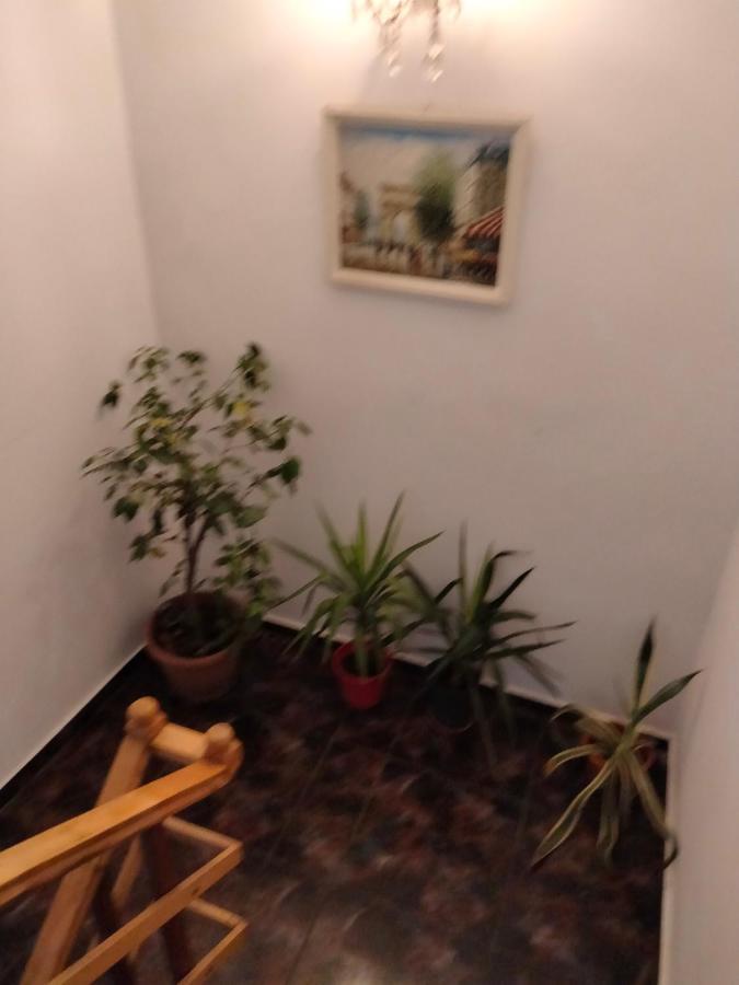Apartament Cu Terasa La Casa Tina Timisoara Ngoại thất bức ảnh