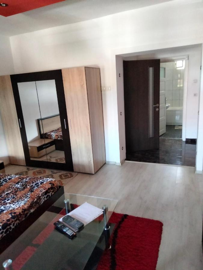 Apartament Cu Terasa La Casa Tina Timisoara Ngoại thất bức ảnh