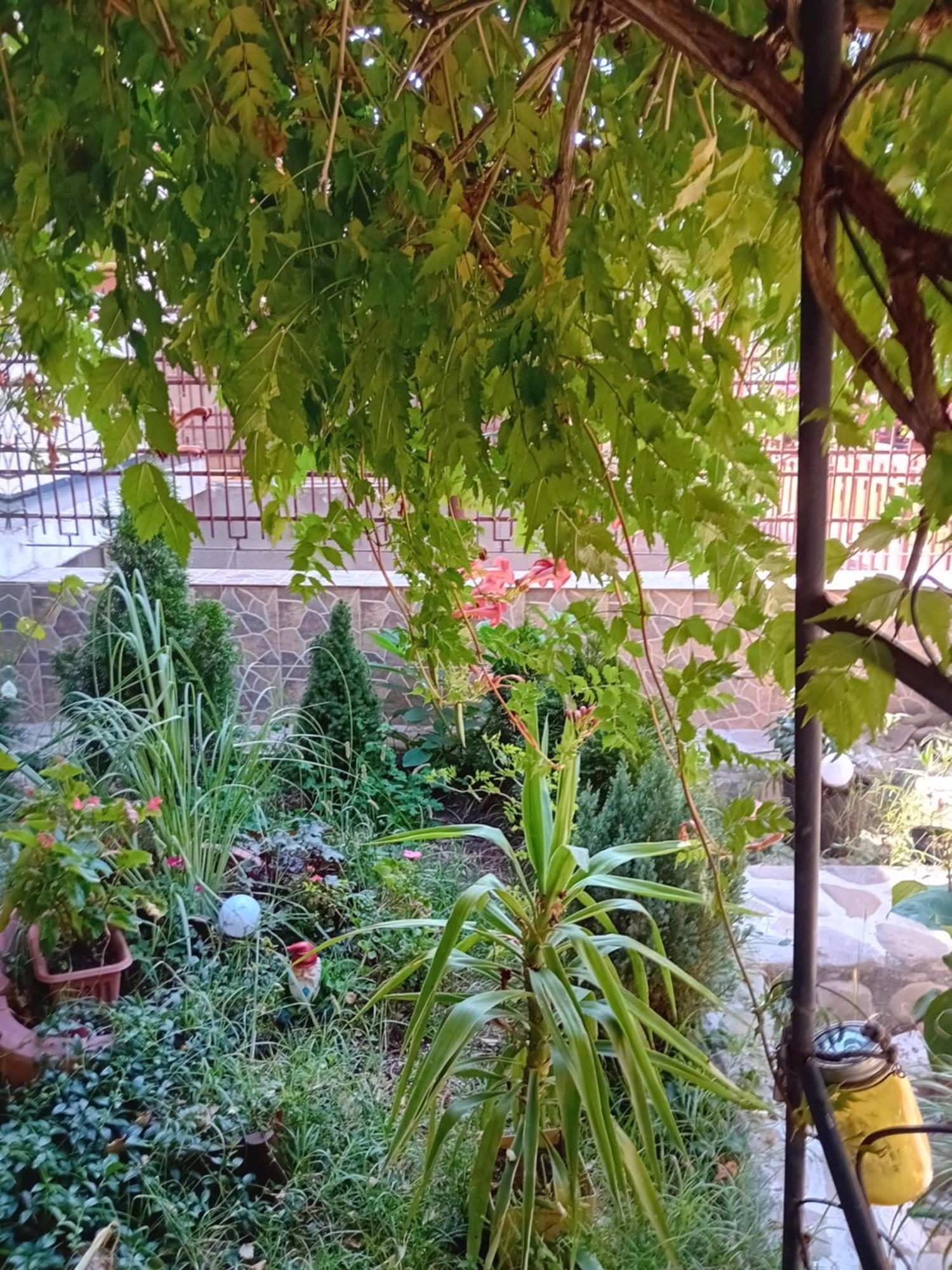 Apartament Cu Terasa La Casa Tina Timisoara Ngoại thất bức ảnh