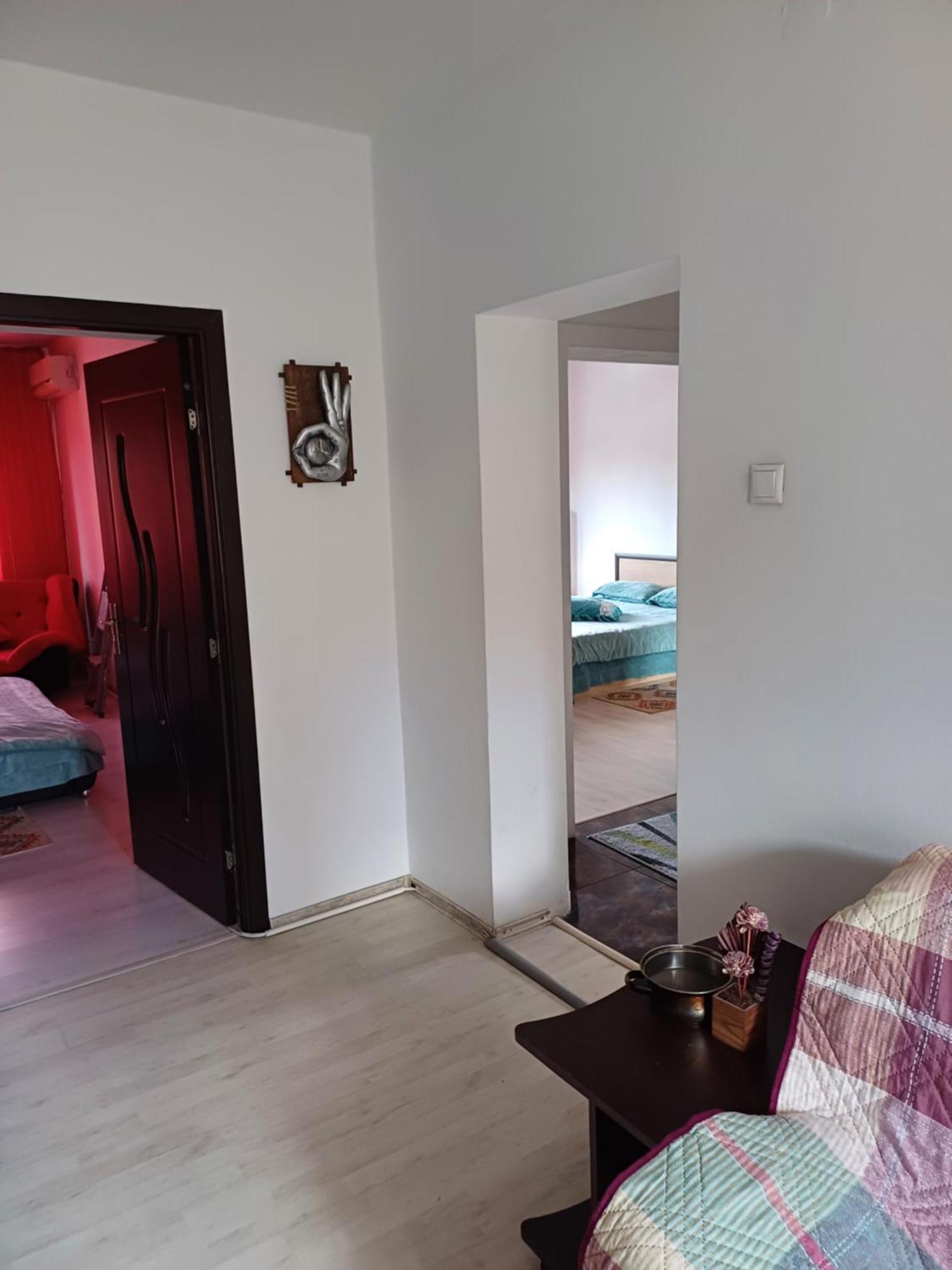 Apartament Cu Terasa La Casa Tina Timisoara Ngoại thất bức ảnh