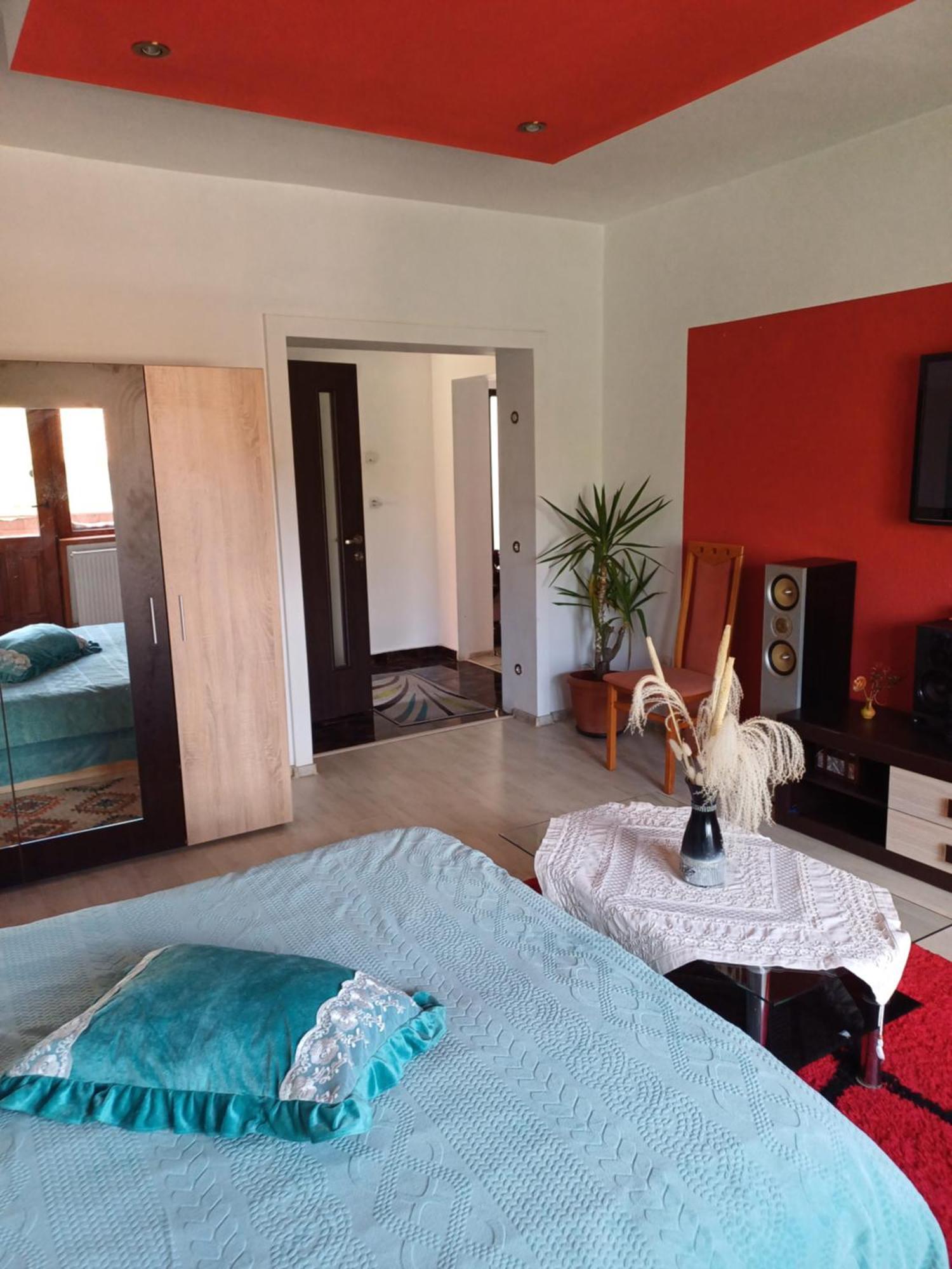 Apartament Cu Terasa La Casa Tina Timisoara Ngoại thất bức ảnh